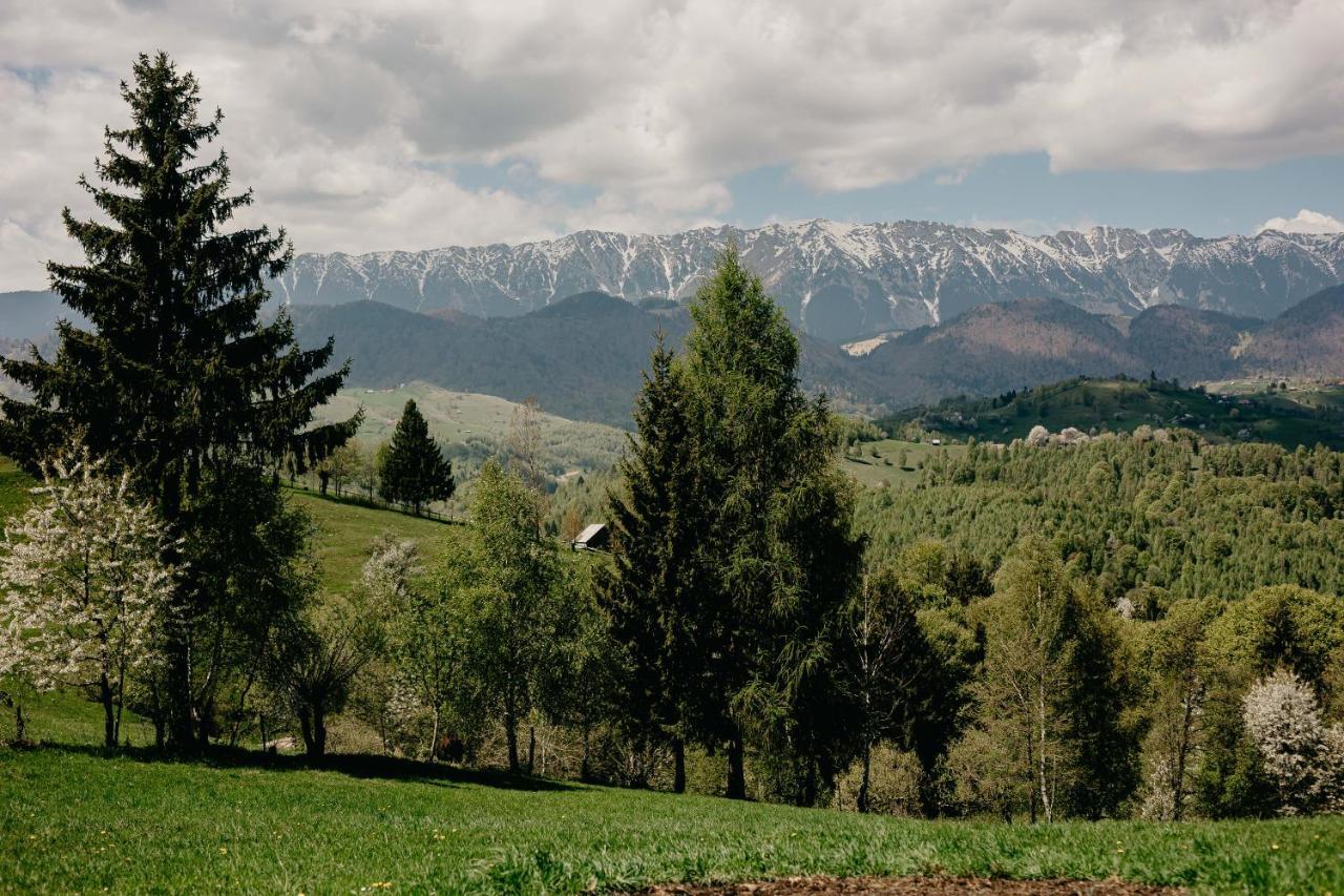 Silver Mountain B12 Brassópojána Kültér fotó
