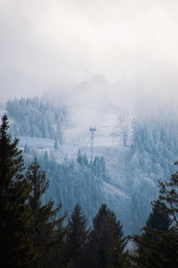 Silver Mountain B12 Brassópojána Kültér fotó
